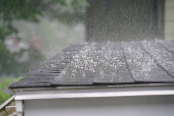 Best Roof Leak Repair  in Lockney, TX